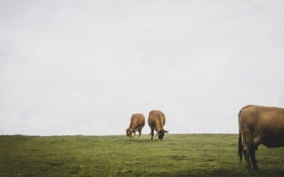 wandelen in Normandië, mooie ontdekkingen in de Eure