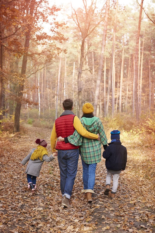 Twee medeplichtige zielen verliezen zichzelf in de schoonheid van de herfst in het bos bij Vernon, Eure. Broer en zus gaan samen op ontdekkingstocht, lachen, ontdekken natuurlijke schatten en versterken hun familiebanden. De herfst creëert een perfect canvas voor hun avonturen.  